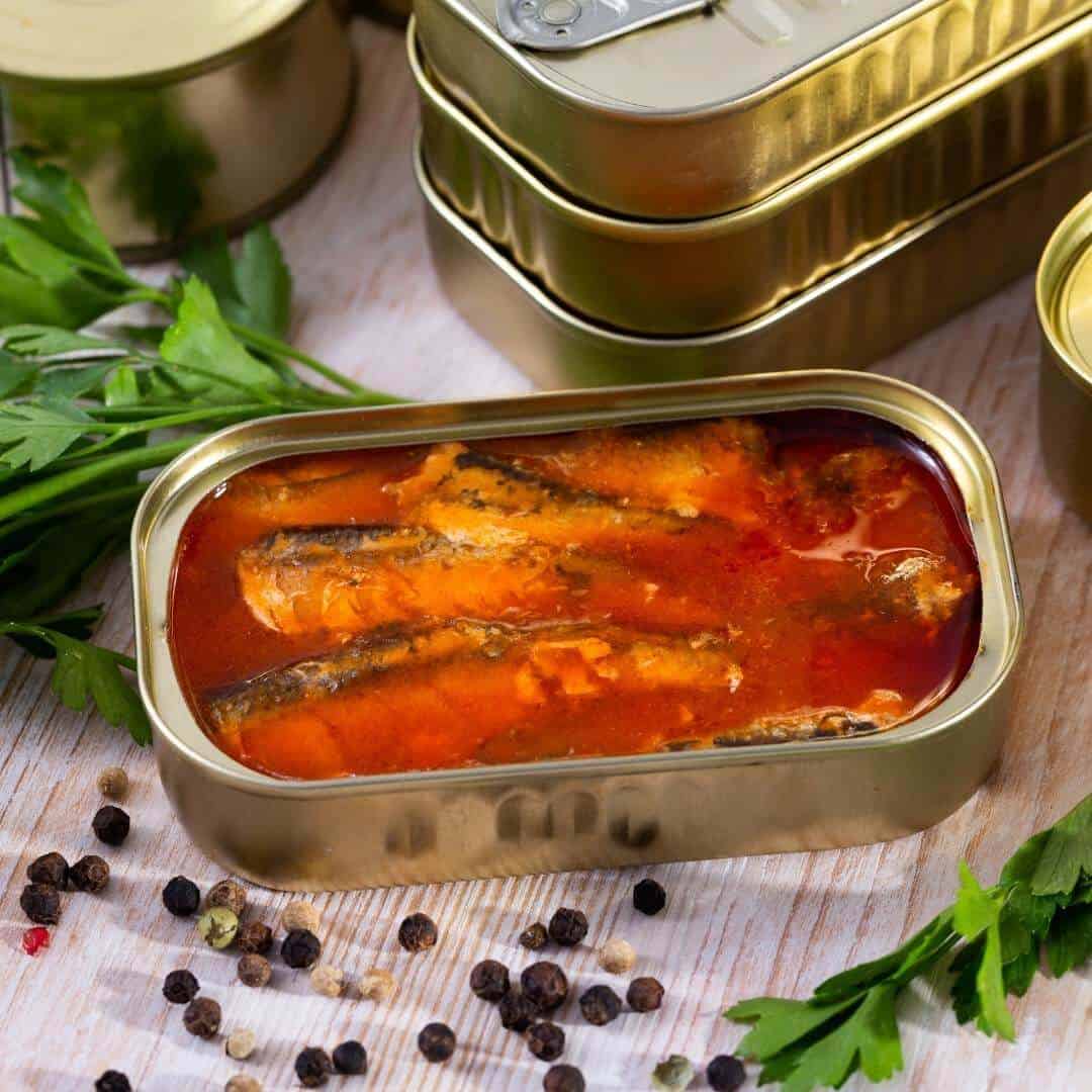 sardines in tomato sauce