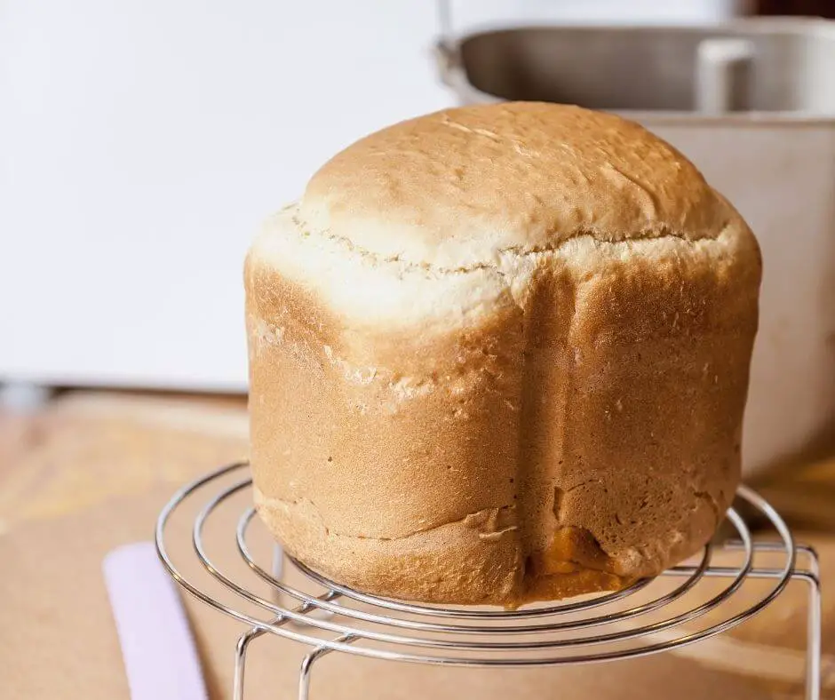 homemade fresh loaf made with bread machine