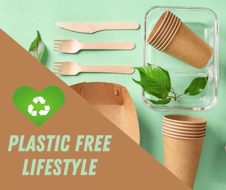 eco friendly food boxes and cups