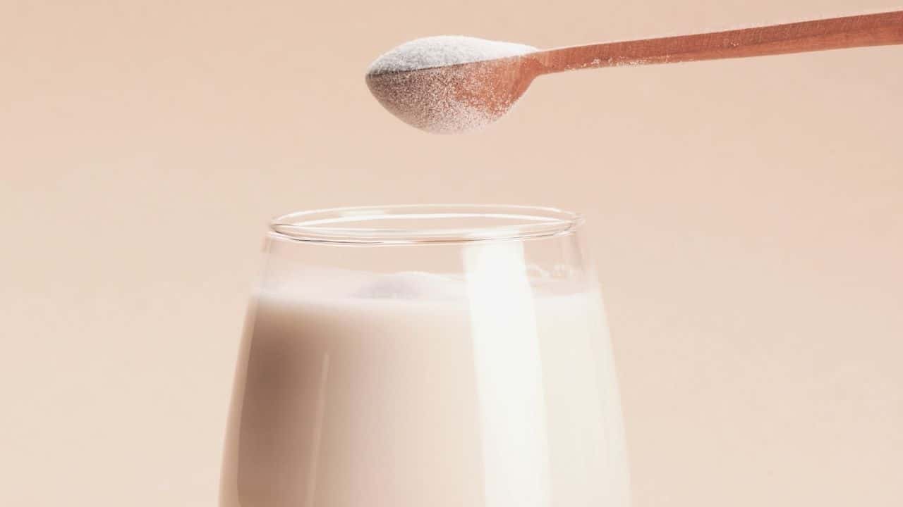 scoop of lactose free milk powder