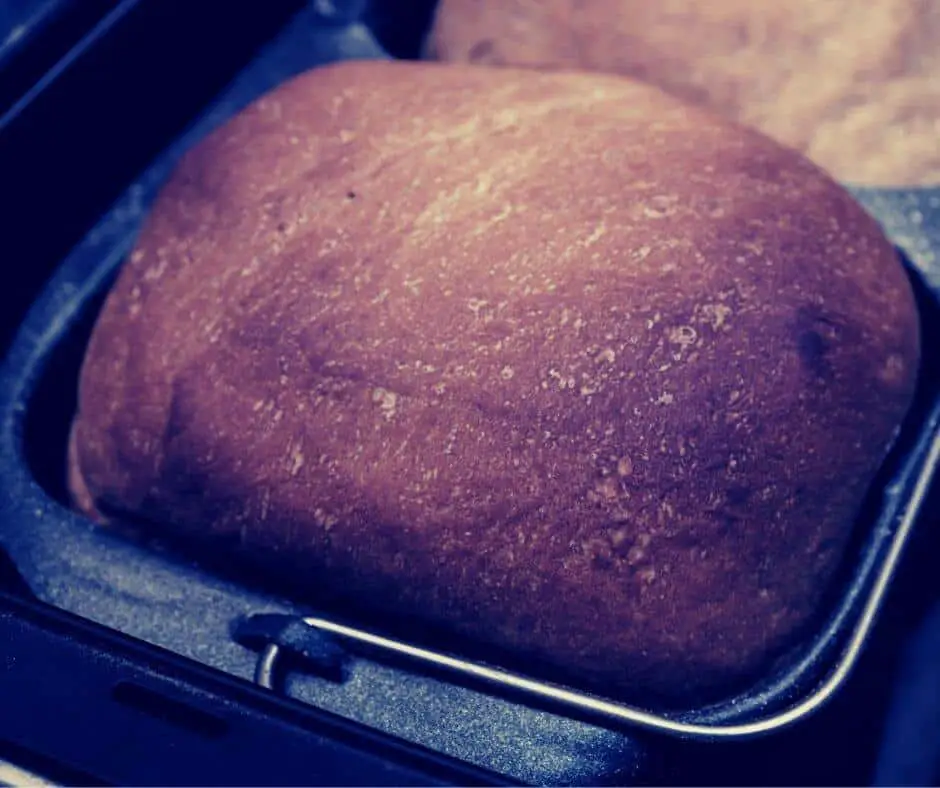 burnt crust bread