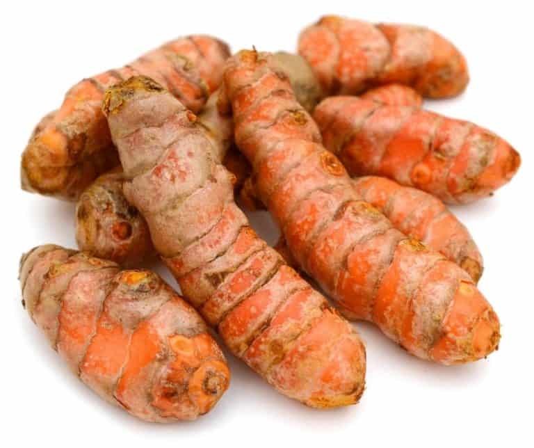 Turmeric Root Seeds at Quinton Hause blog