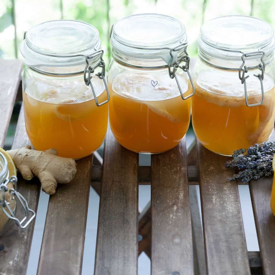 making ginger kombucha