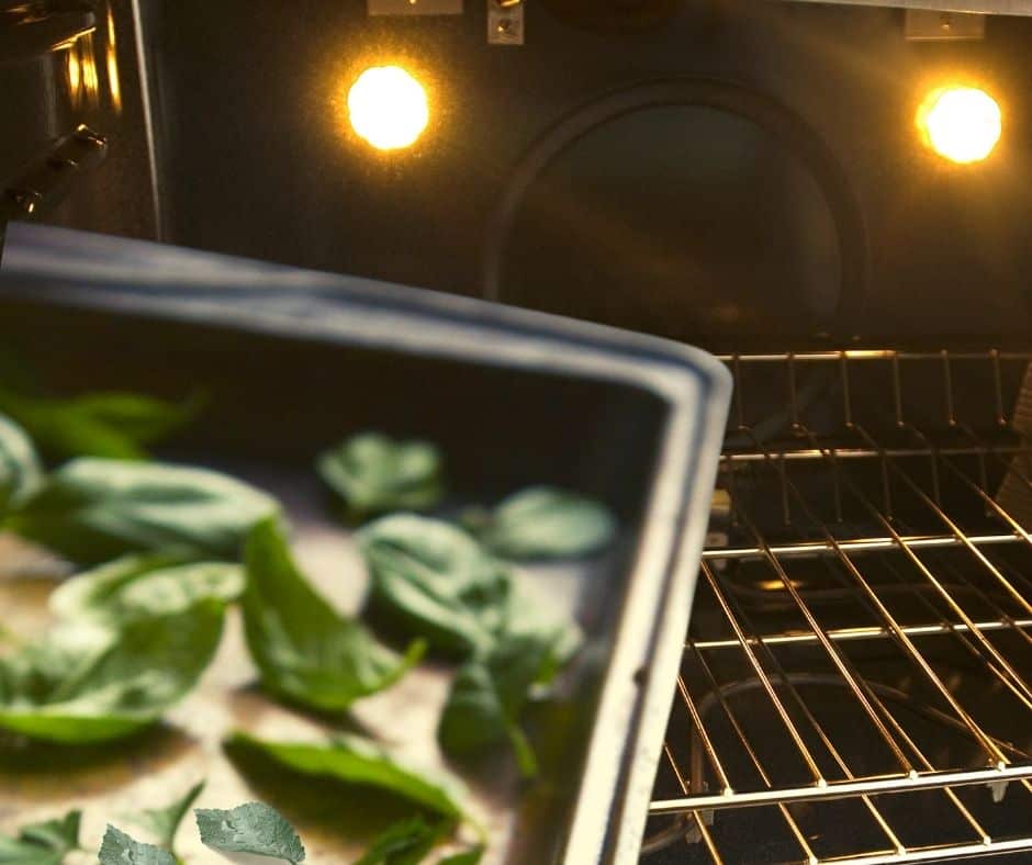 drying herbs in the oven