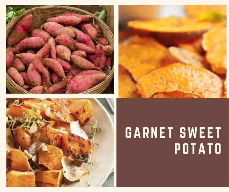 Garnet sweet potato
