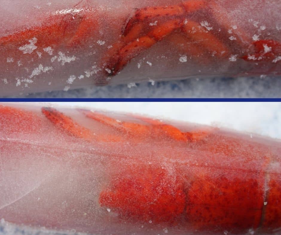 bad frozen lobster tails
