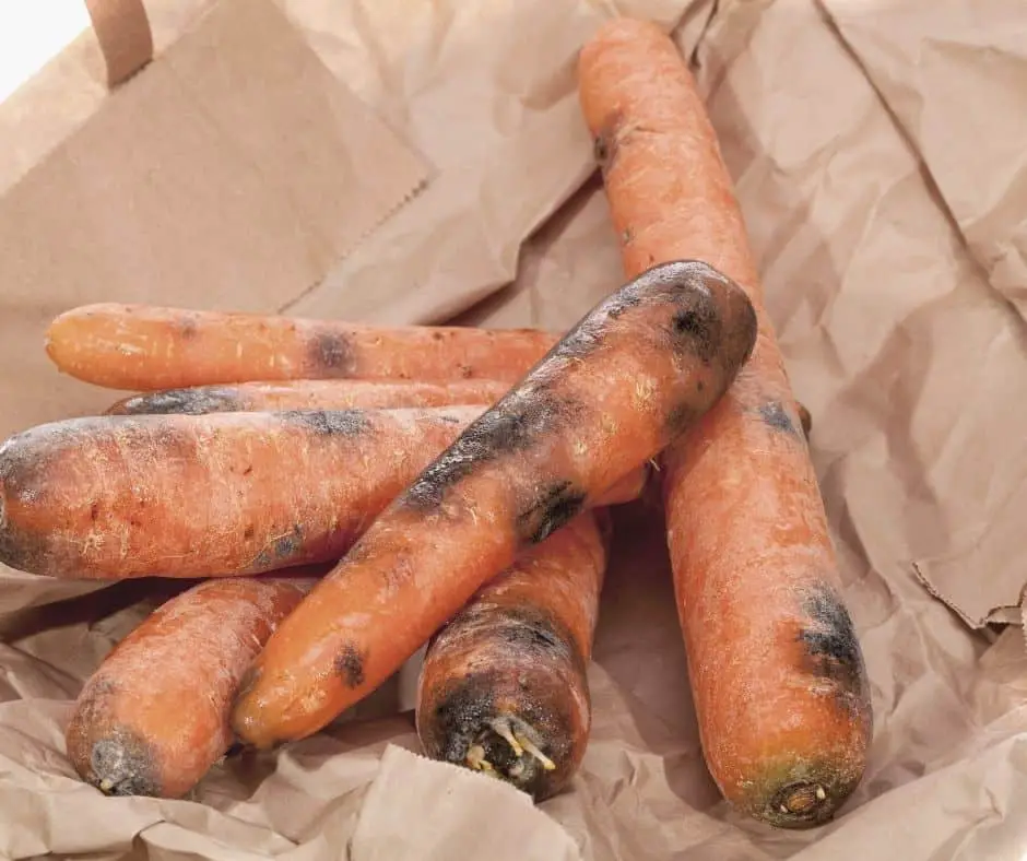 How To Store Peeled Carrots To Keep Them Fresh As Long As Possible