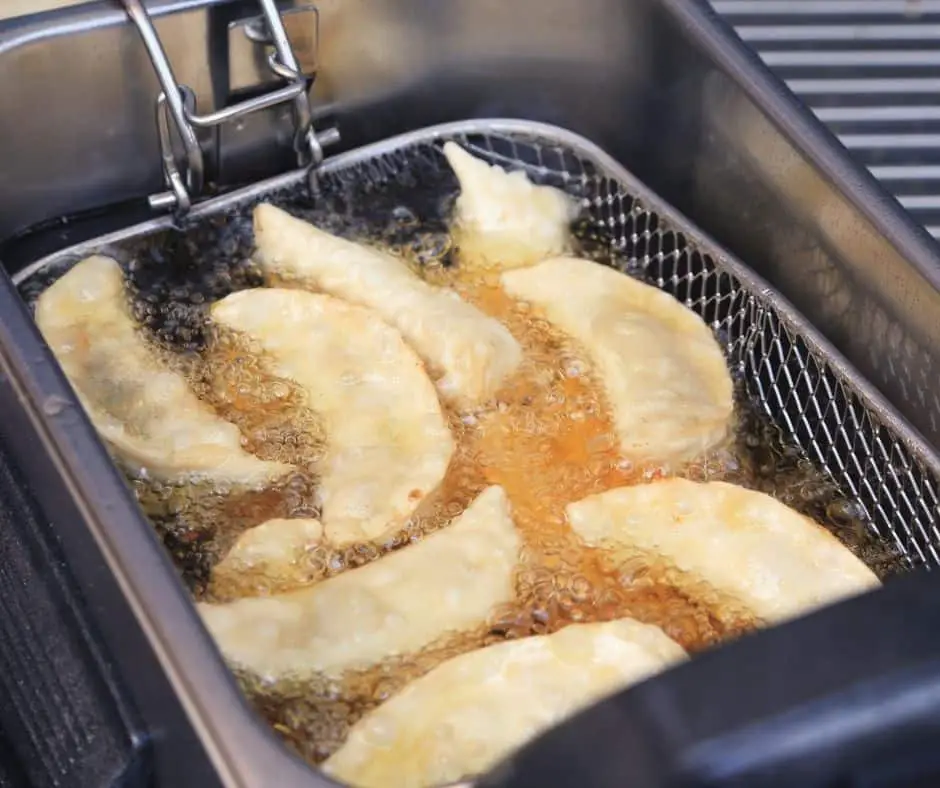 deep fried japanese dumplings