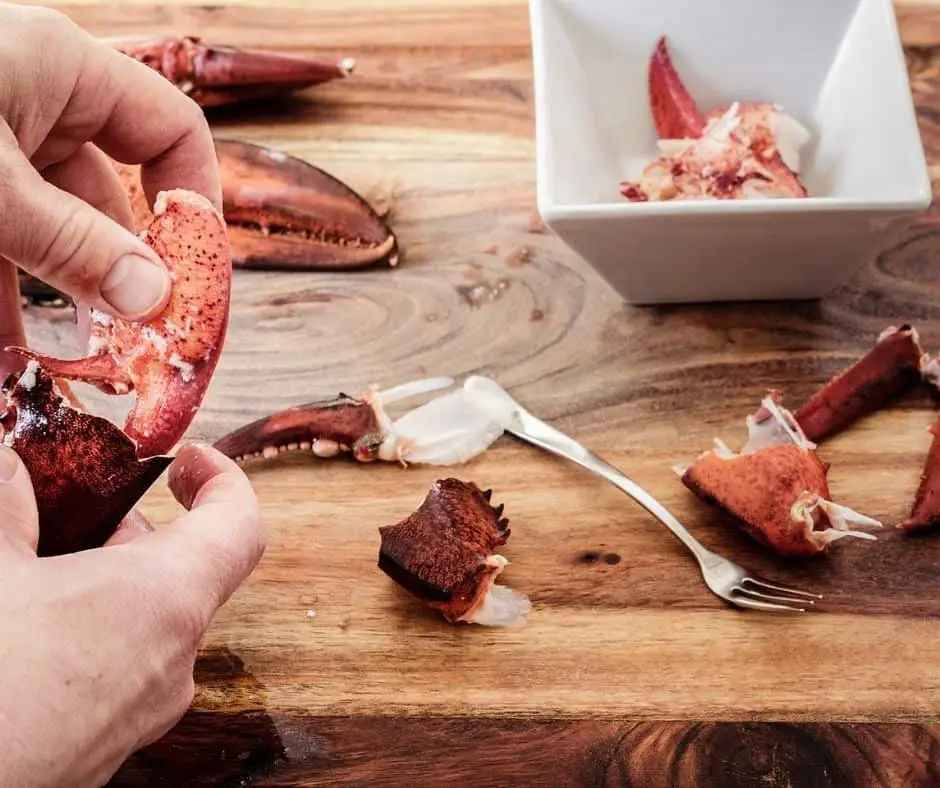 storing cooked lobster