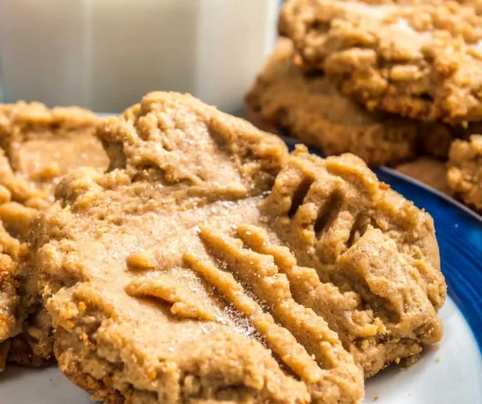 low carb peanut butter cookies