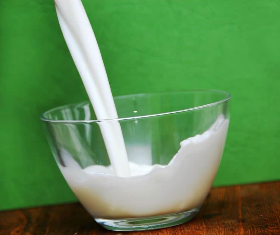 milk in a bowl 
