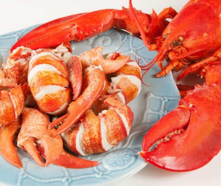 How To Store Cooked Lobster Properly? (Delicate But Achievable)