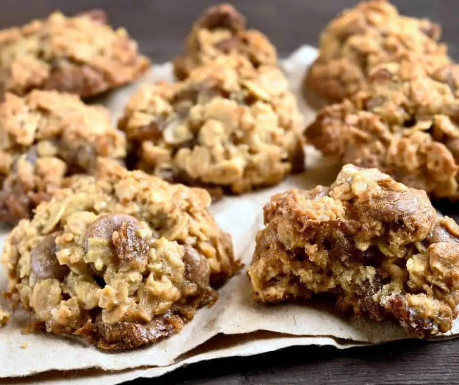 vegan no bake cookies with oats