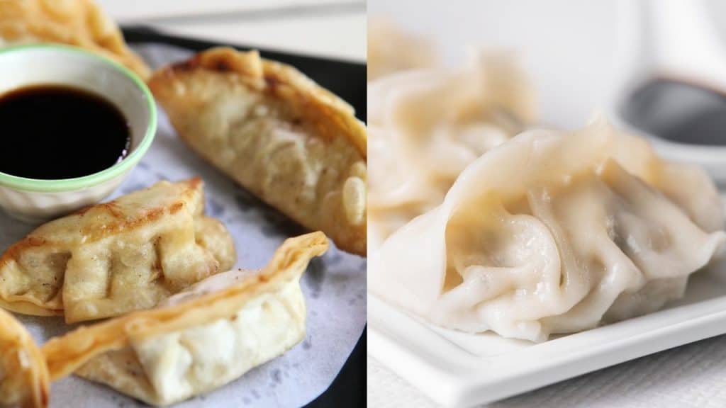 gyoza and jiaozi dumplings