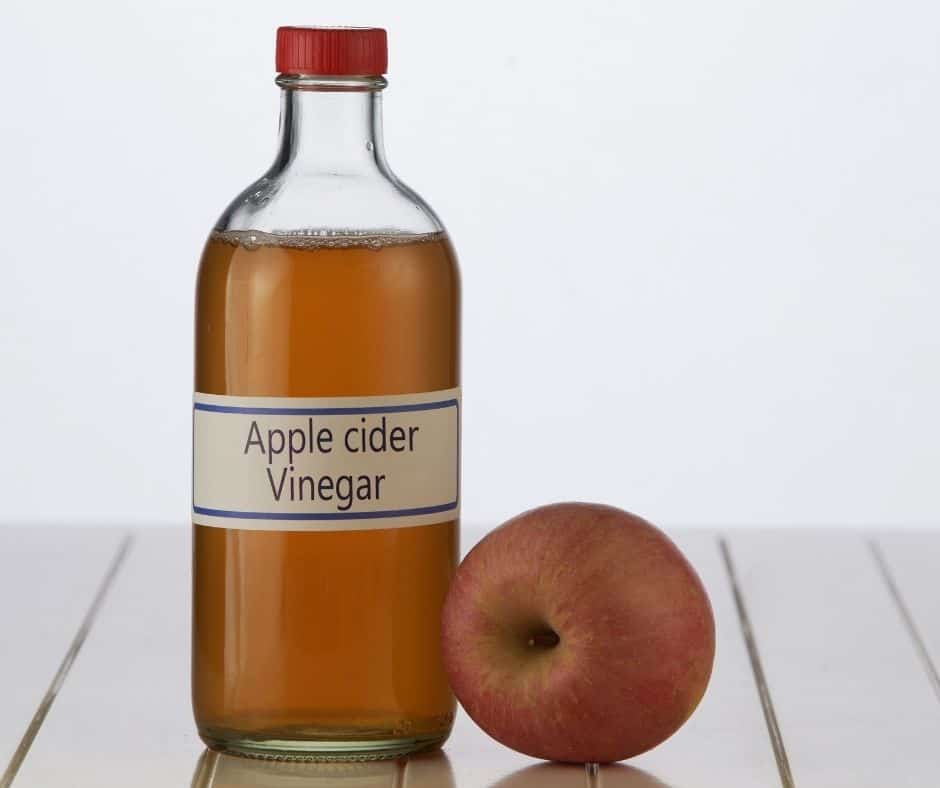 cooking with apple cider vinegar