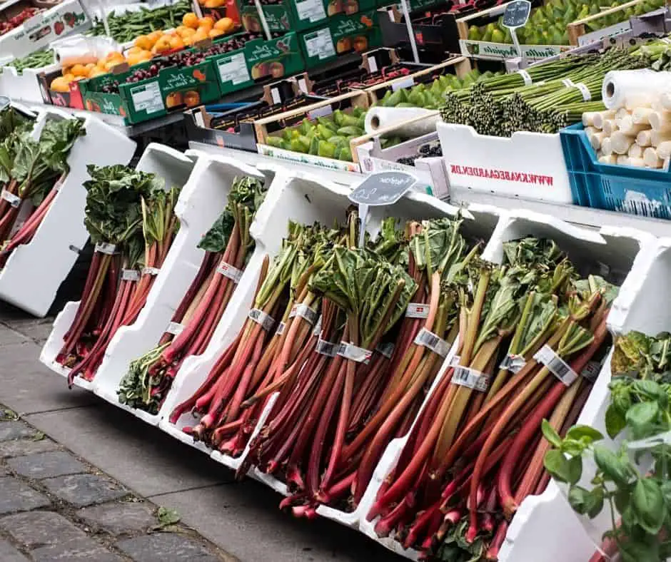 buying rhubarb for recipes