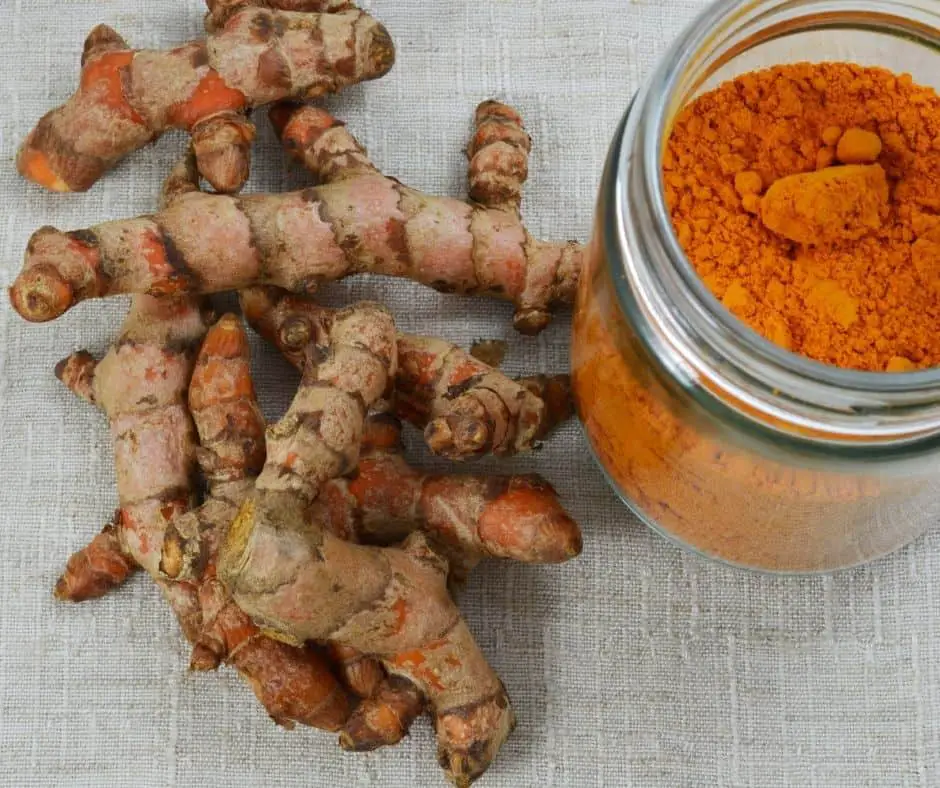 turmeric root and powder