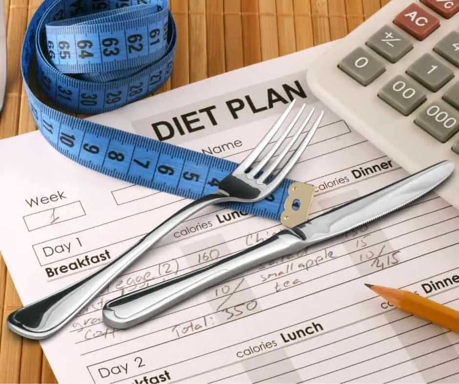 Printable diet plan