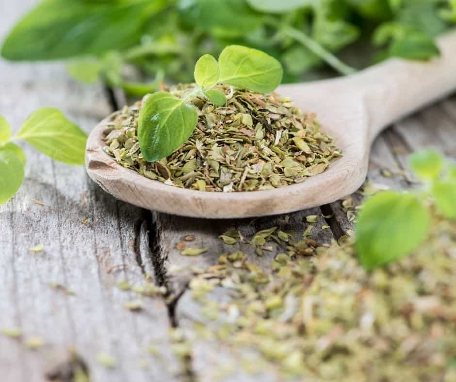 Oregano 