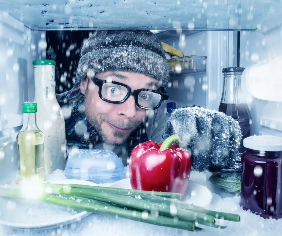 storing food in freezing temperatures