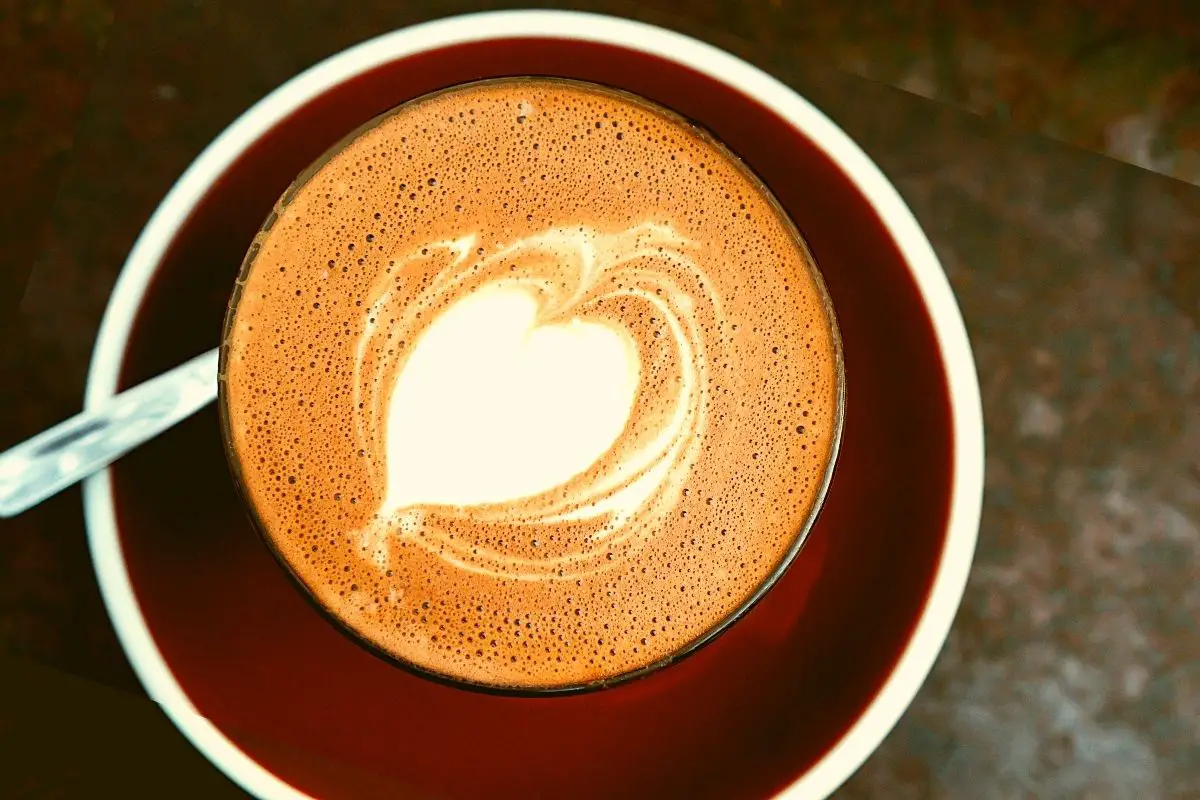 How To Make Hot Chocolate Without Cocoa Powder (9 Creamy Recipes)