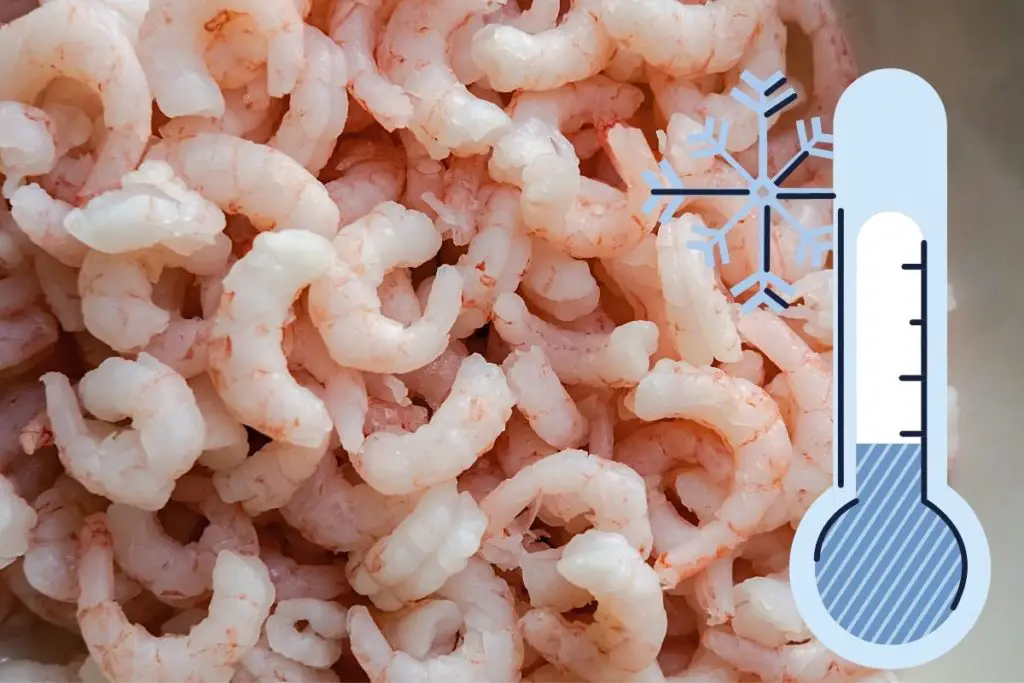 defrosting frozen prawns