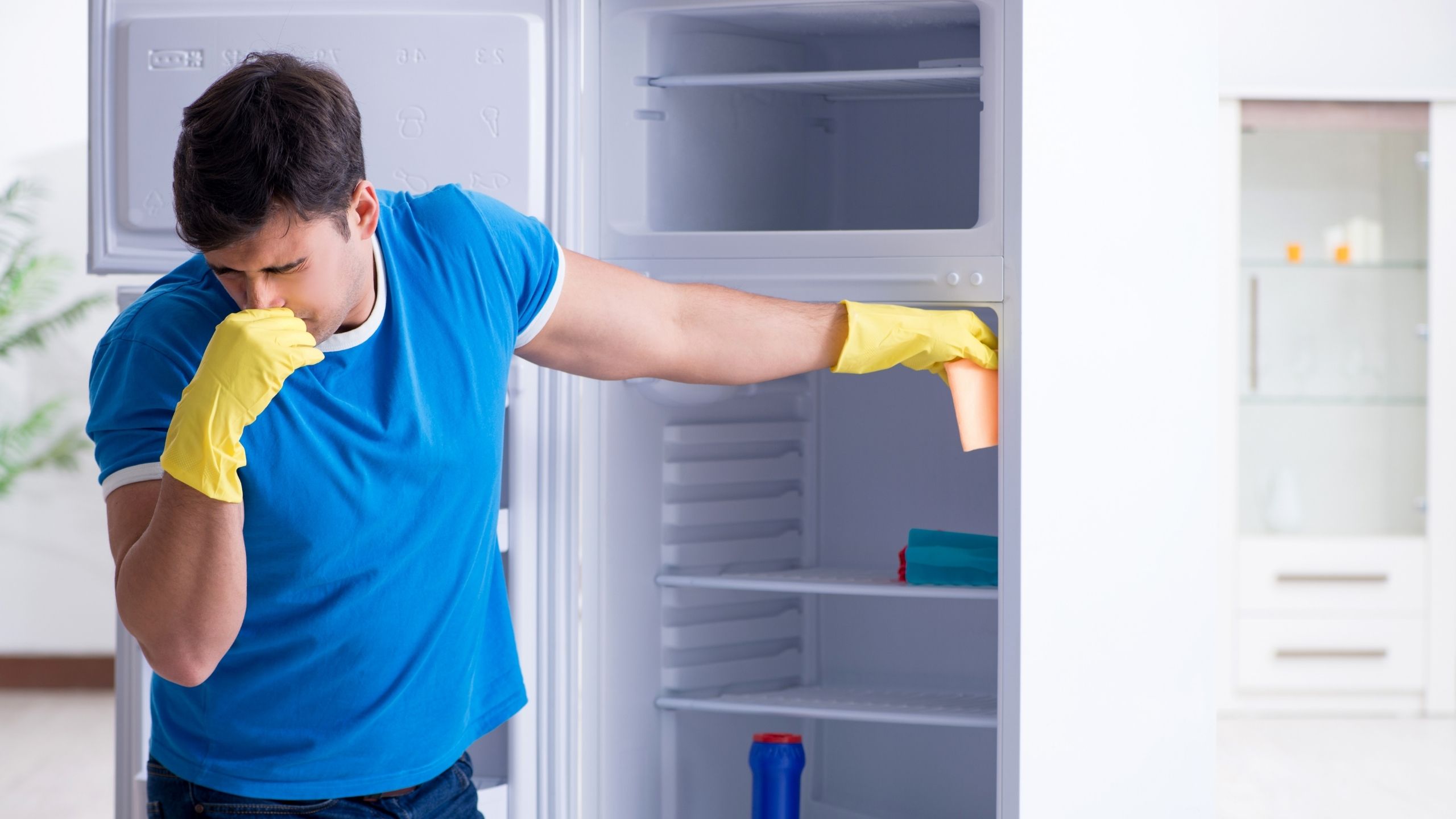 fridge smells bad even after cleaning