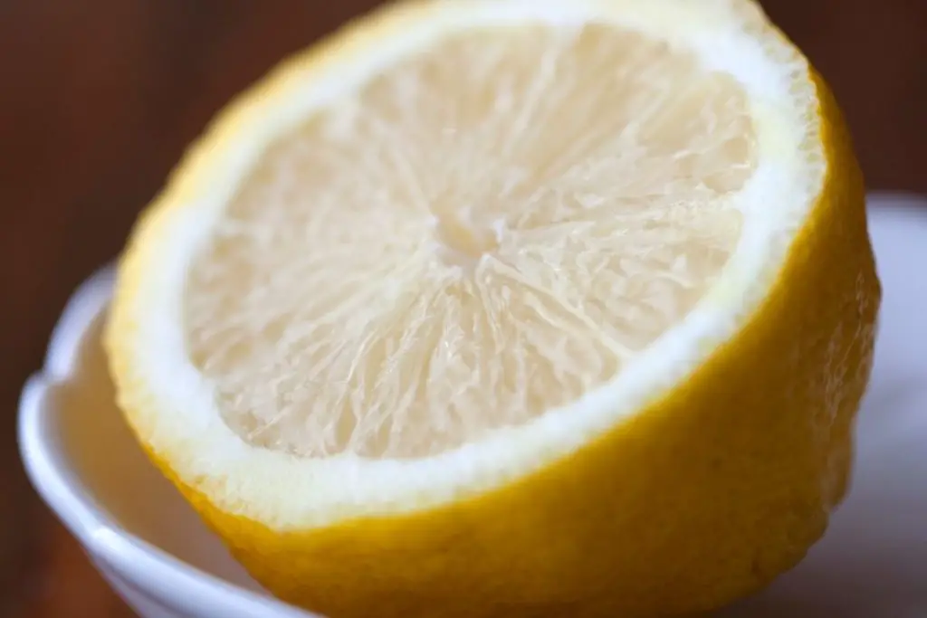 lemon as a fridge odor absorbers