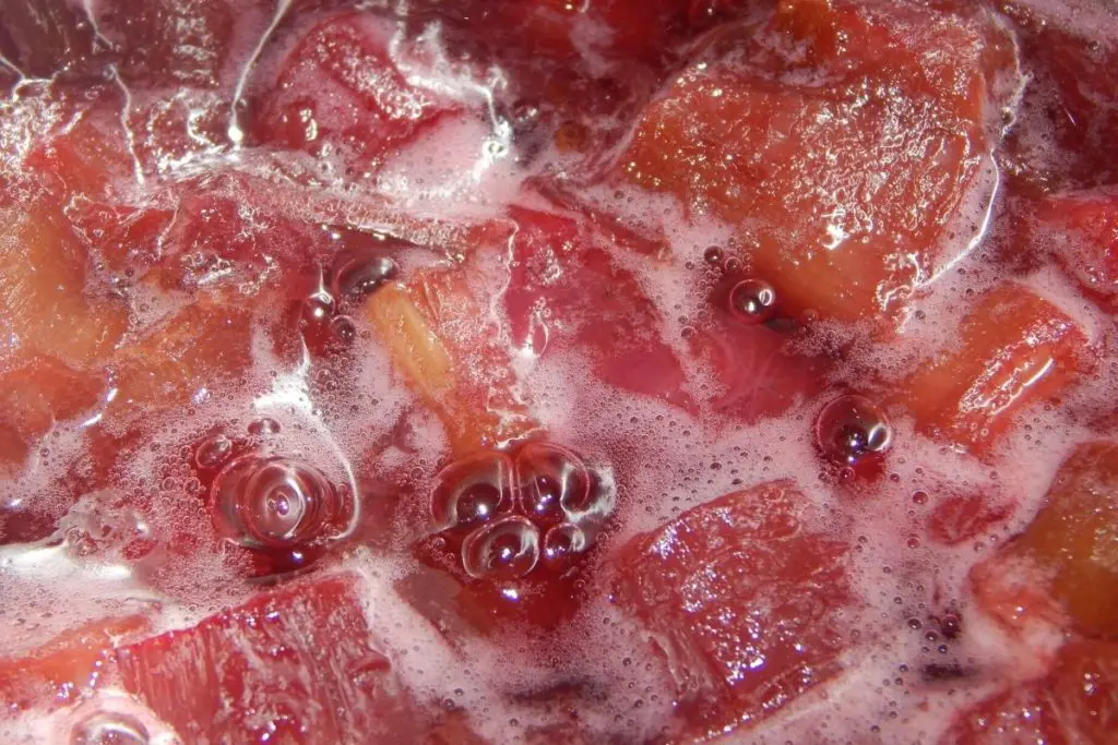 berry and rhubarb stew