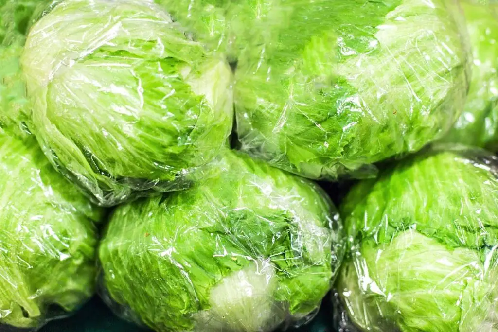 iceberg lettuce