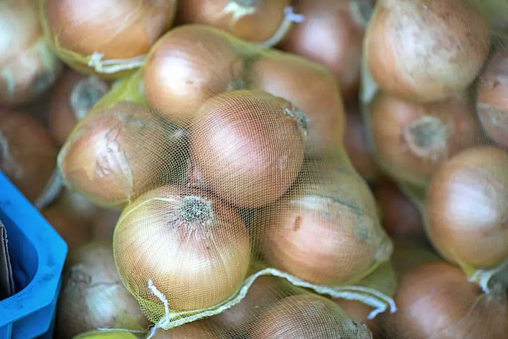 bags of onions