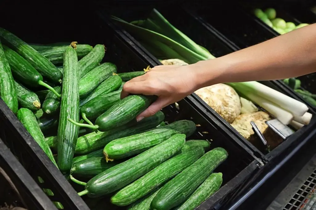 per capita consumption of fresh cucumbers