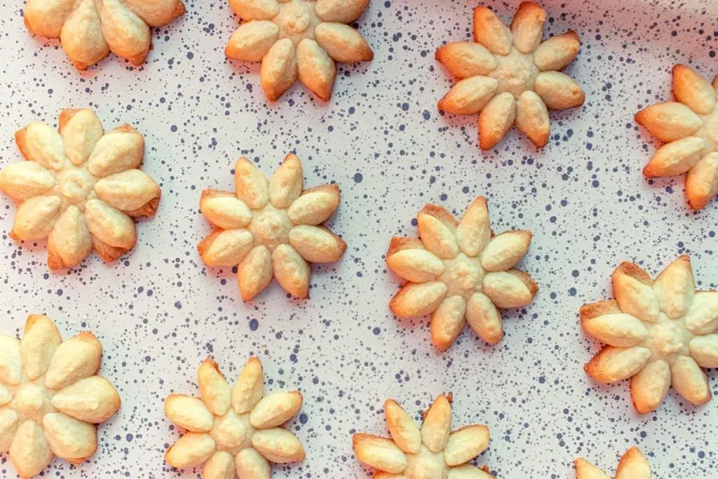 homemade cookie press shortbread 