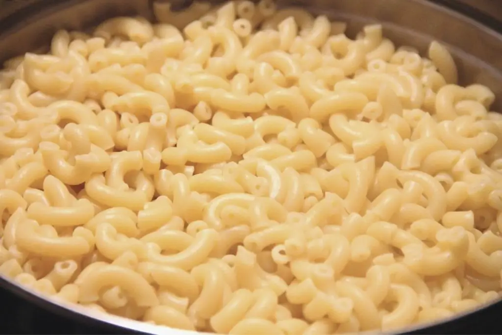 cooked macaroni