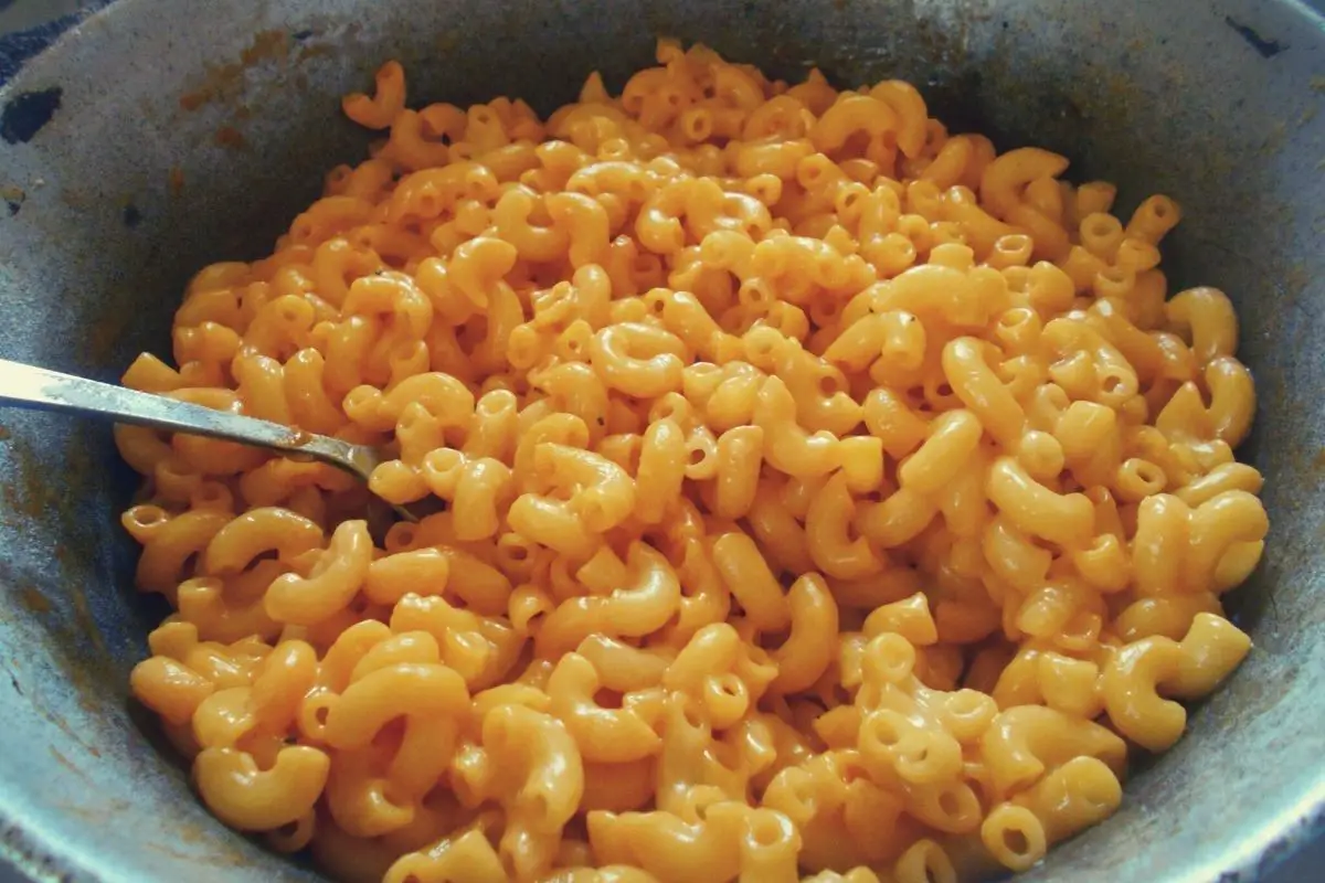 How To Make Mac And Cheese Tuna Casserole (High Protein)