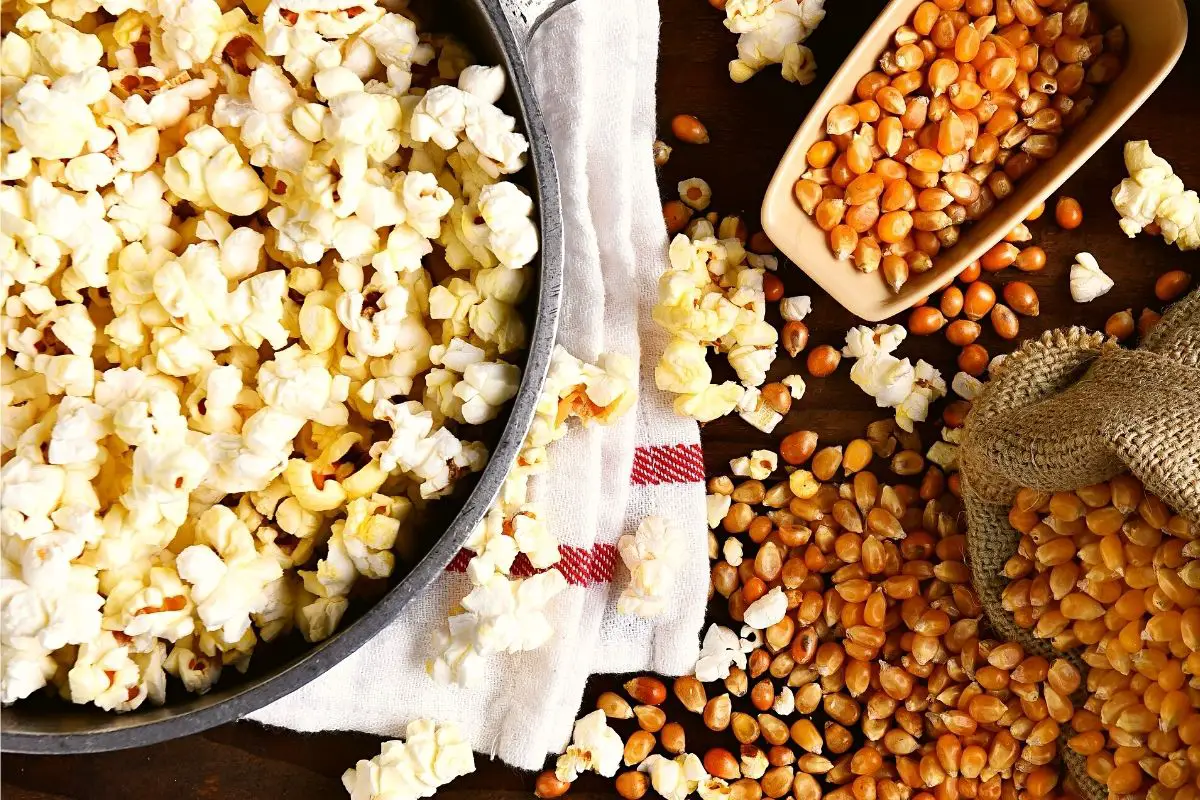 How To Use Flavacol? Make Movie Theater Popcorn At Home