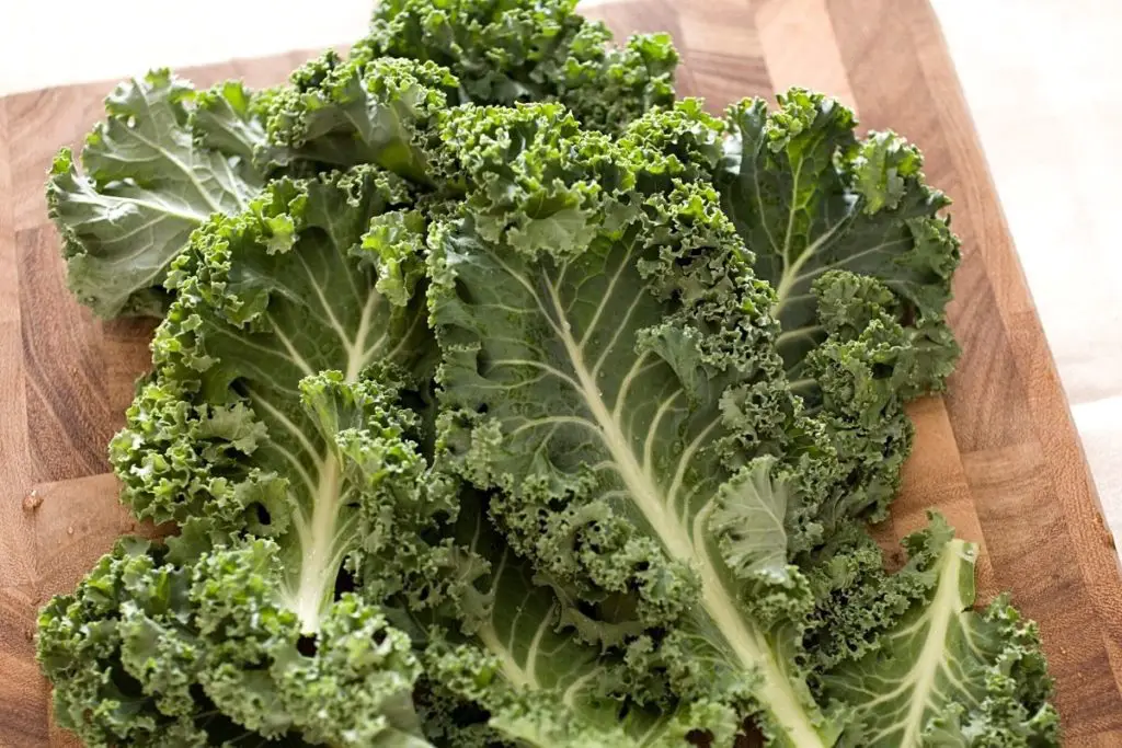 fresh kale leaves