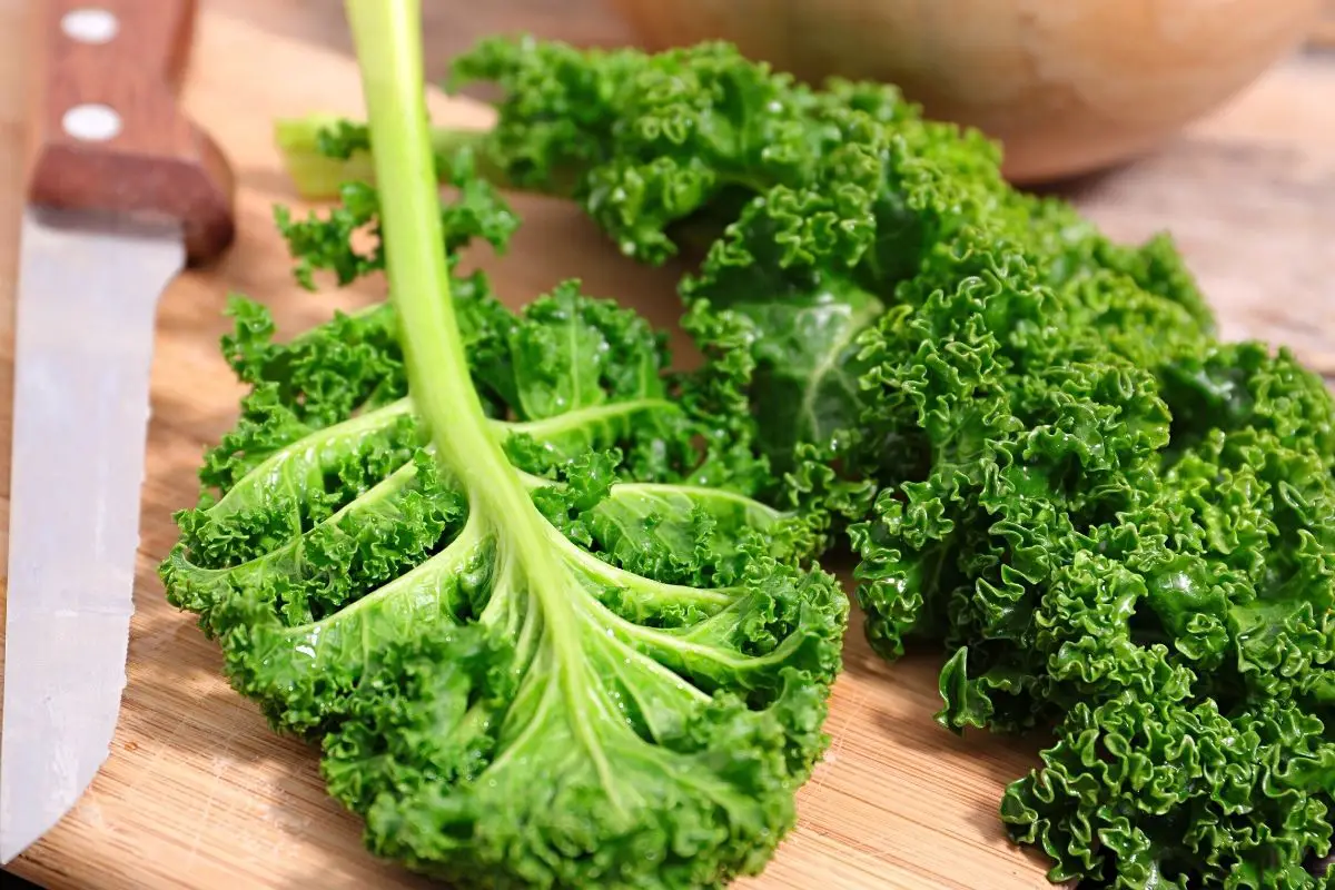 6 Ways To Store Kale In The Fridge Without Plastic
