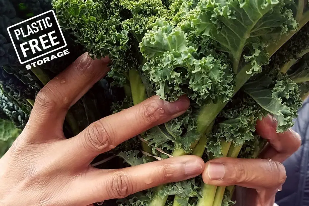 storing kale without plastic