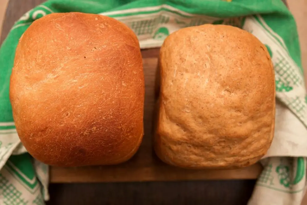 bread maker loaf made with fast acting yeast