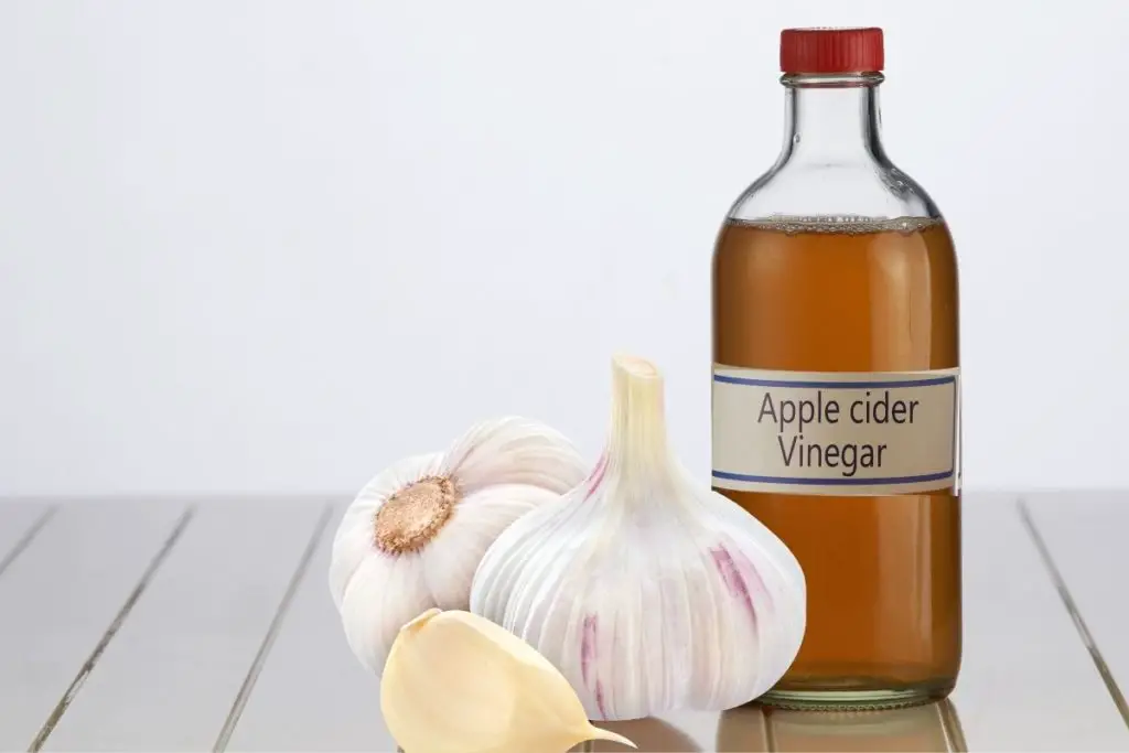 Apple cider vinegar weight loss drink