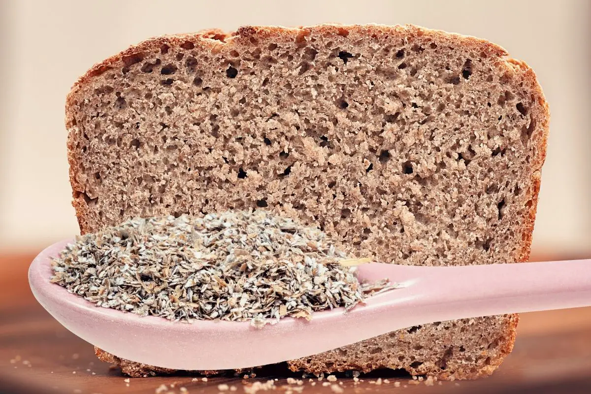 Best Rye Bread Recipe For Bread Machine (Rustic, Full Of Flavor)