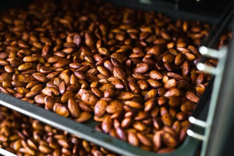 7 Best Healthy Cinnamon Roasted Almonds Recipes
