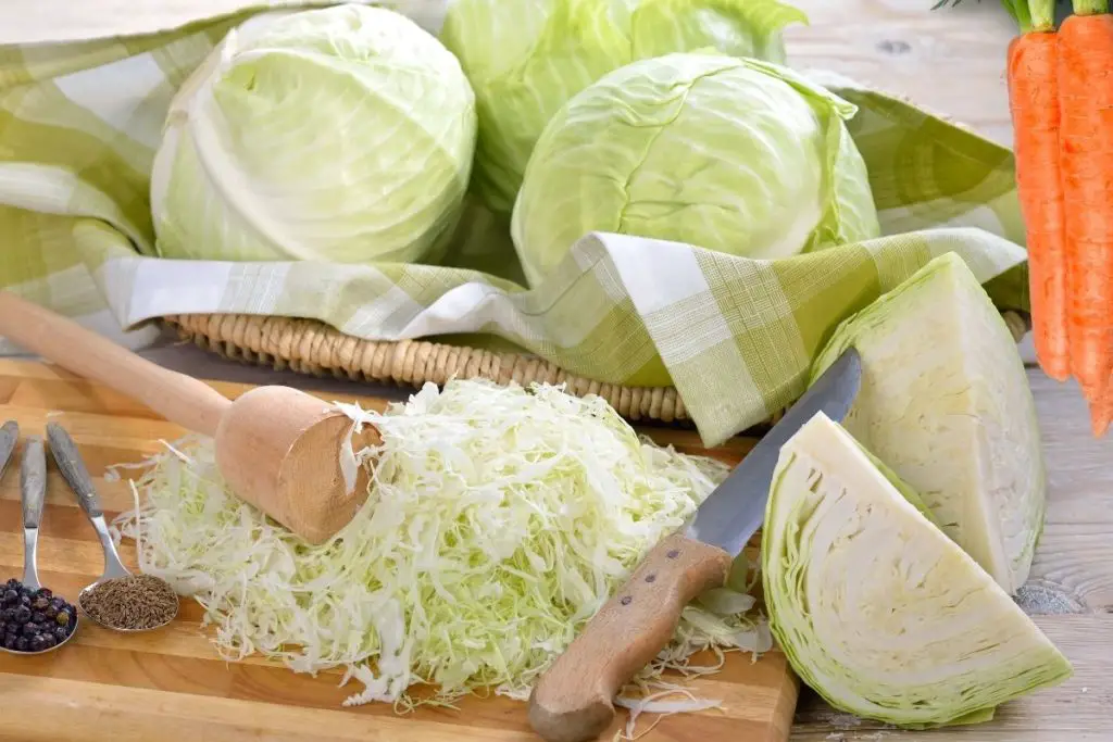 salt free sauerkraut recipe