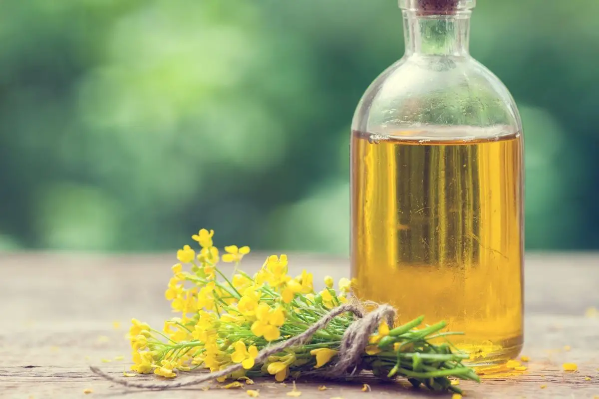 6 Best Healthy Substitutes For Coconut Oil In Baking