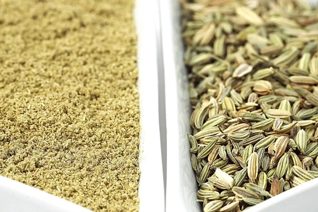 Fennel Seeds