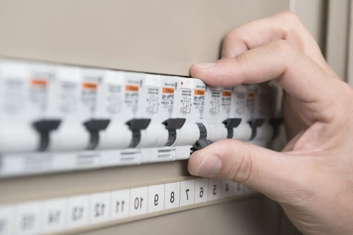 Why My NutriBullet Stopped Working? (8 Common Reasons)