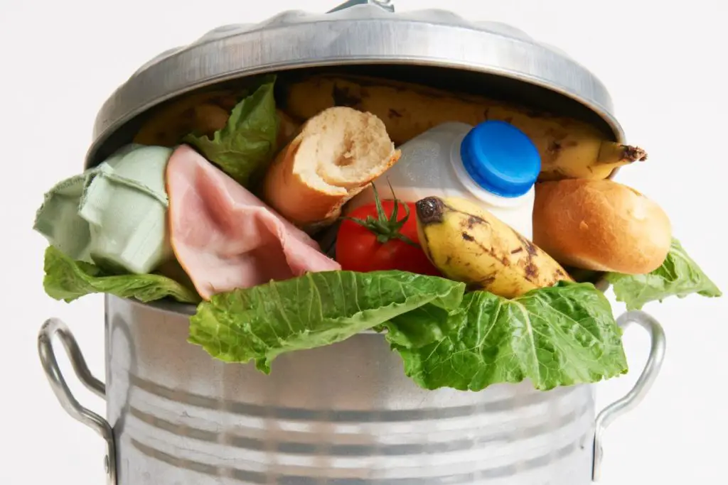 food waste 