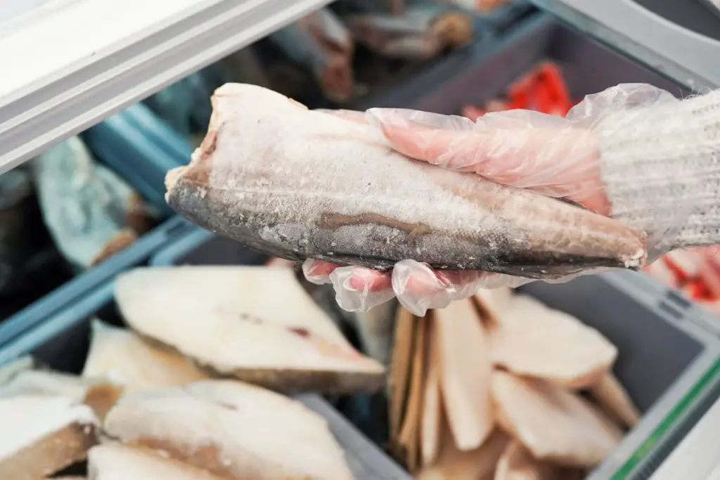 frozen fish product