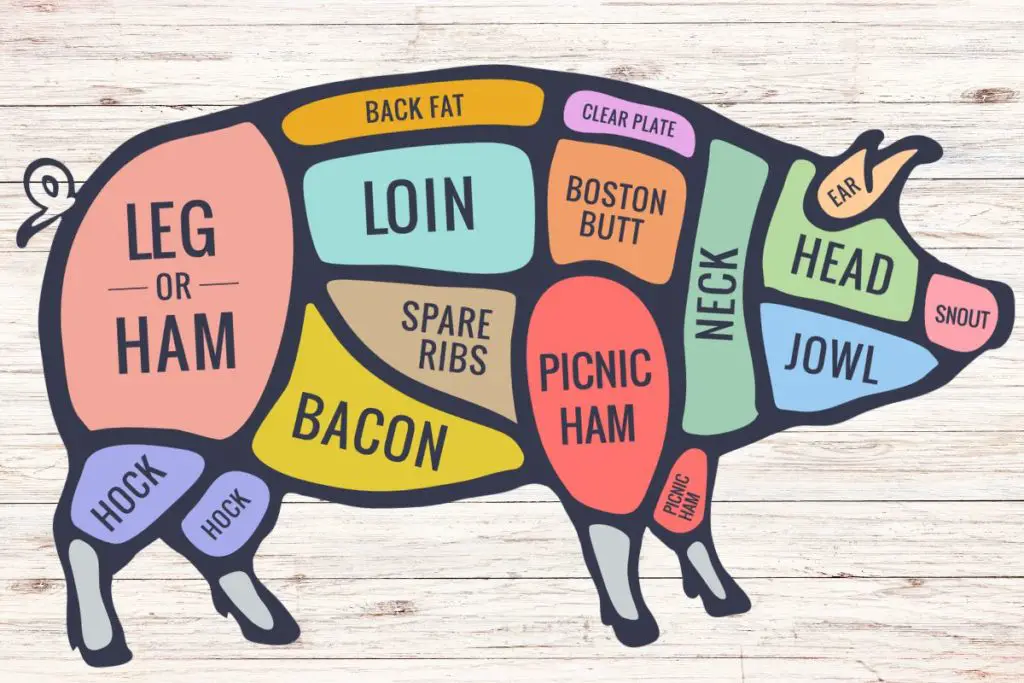 pork cut diagram